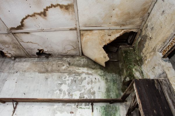 Cost of Water Damage Service in Waxhaw
