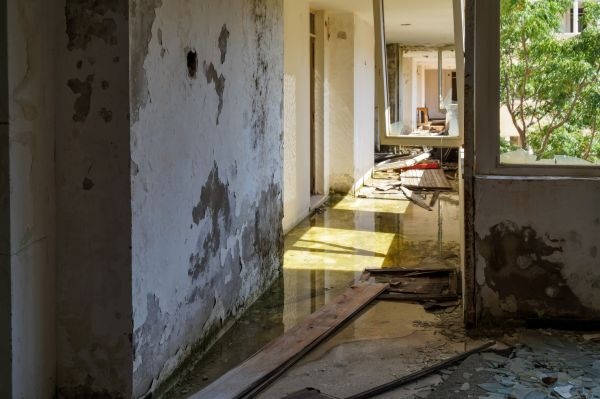 Cost of Water Removal Service in Waxhaw