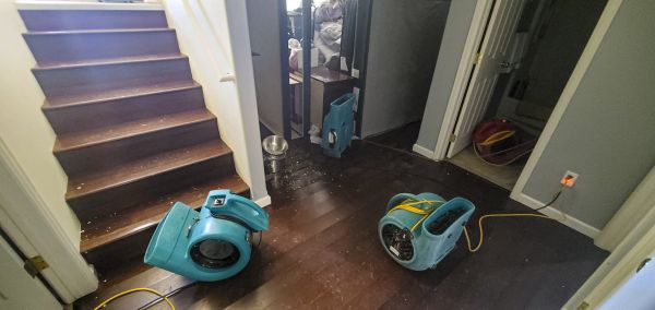Cost of Water Damage Remediation in Waxhaw