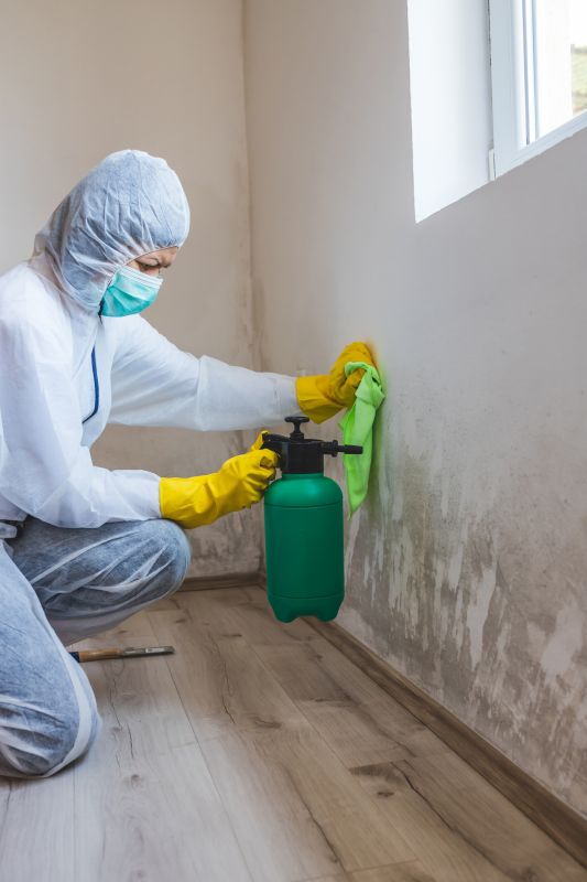 Mold Prevention
